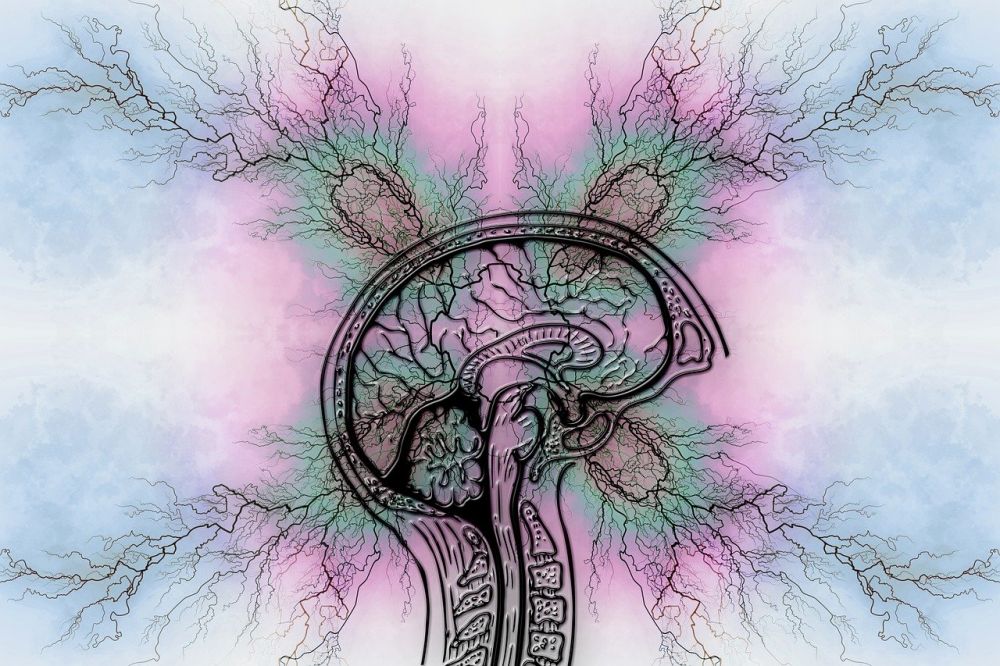 Add diagnose  hva innebærer det, og når bør man utredes?